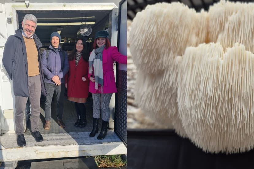 Meet Wales’ only home-grown ‘brain boosting’ cuppa