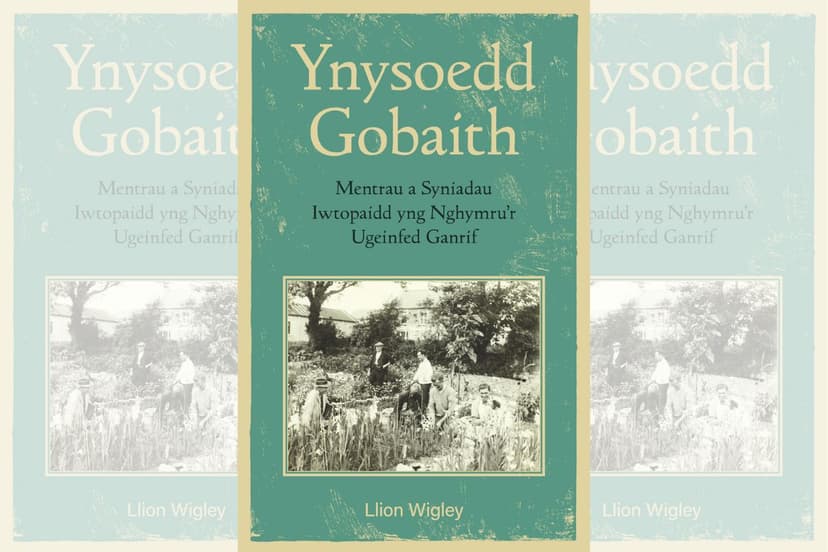 Book review: Ynysoedd Gobaith by Llion Wigley