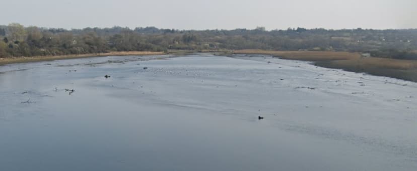 Teifi fifth most polluted river in UK, figures claim